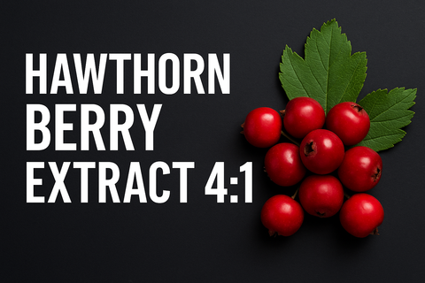 What Science Says About Hawthorn Berry Extract and Heart Performance