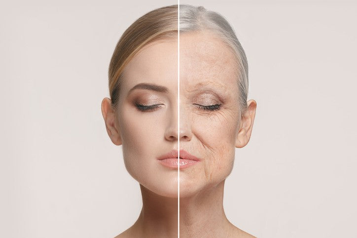 Study Finds NAD3 Slows Down Aging Process