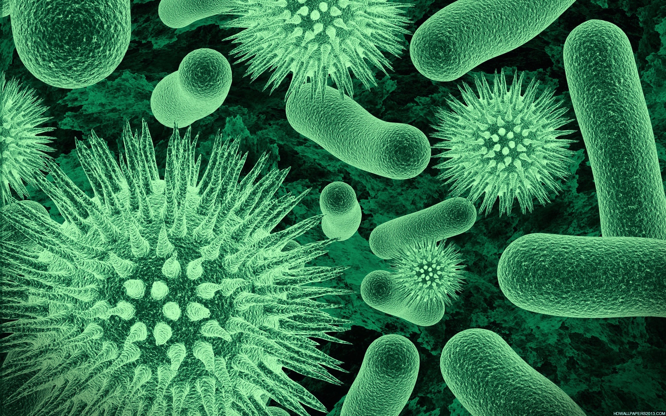 The History of Worldwide Disease