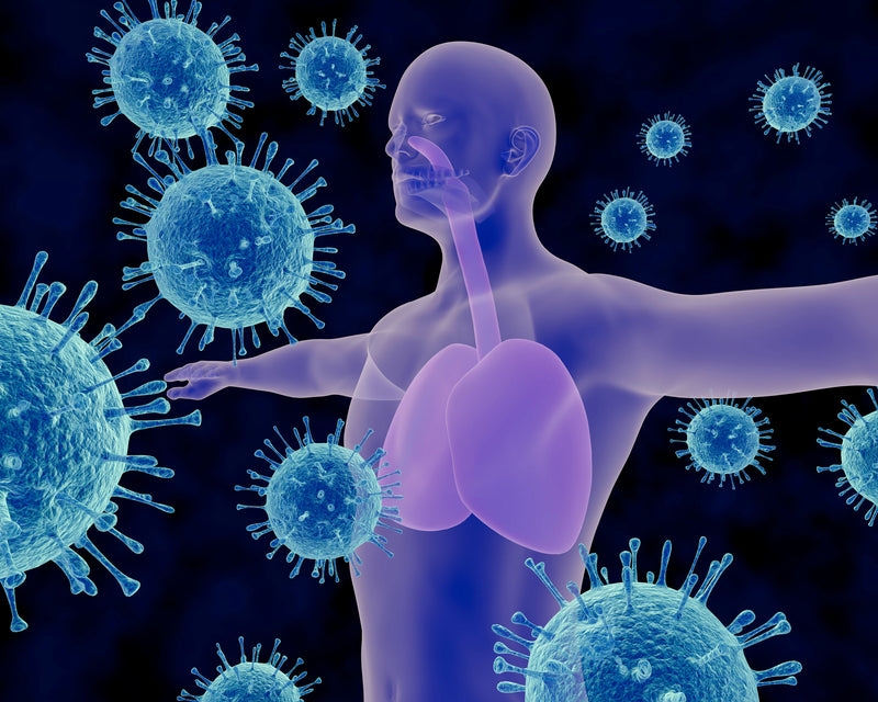 Top Immunity Boosting Ingredients
