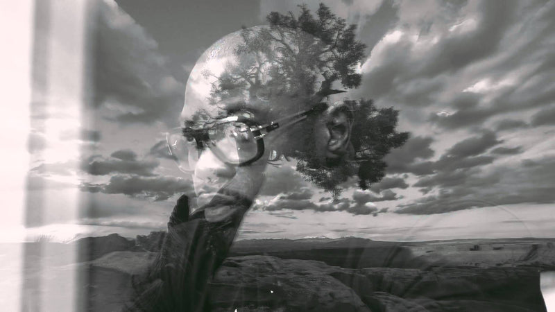 Mental Jewels. Adorn your mind with wisdom like Solomon... by Mike Rashid