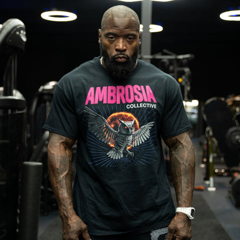 🎁 Ambrosia Metal Owl T-Shirt (100% off)