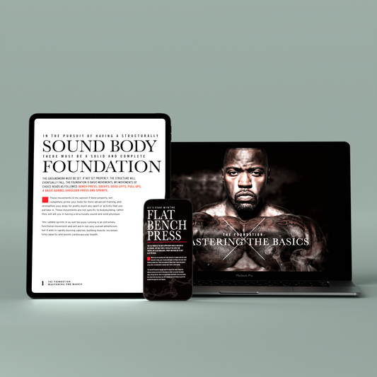 The Foundation: Mastering the Basics eBook