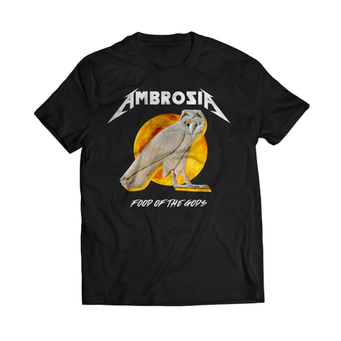 Ambrosia Stone Owl T-Shirt