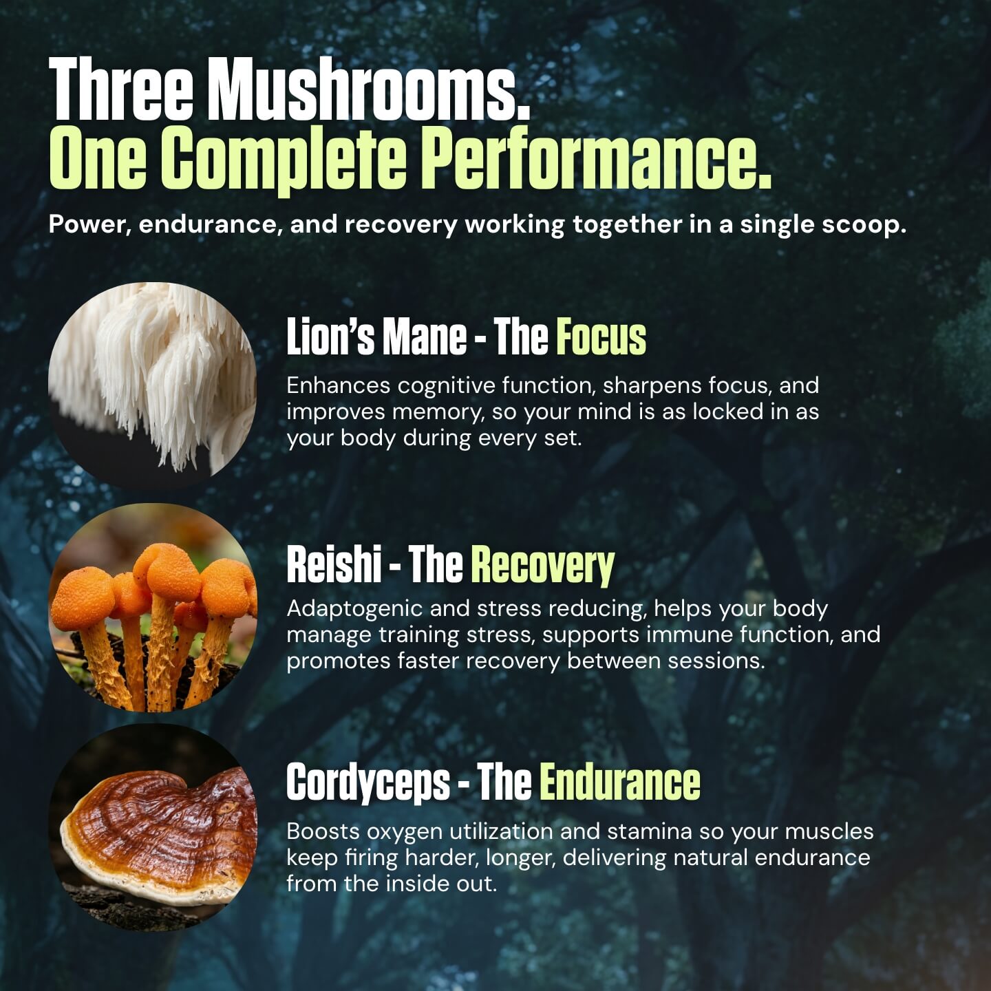 Kinetic™ - Mushroom Enhanced Pre-Workout
