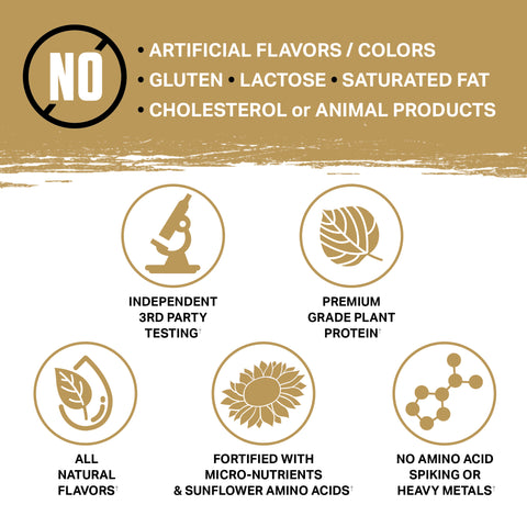 Cinnamon Roll Gallery