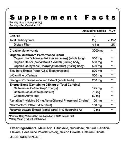 Kinetic™ - Mushroom Enhanced Pre-Workout